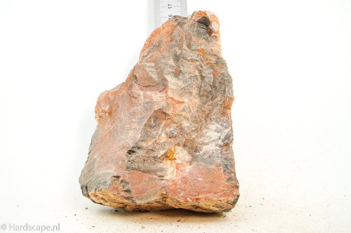 Petrified Wood XL77 - Hardscape.nl