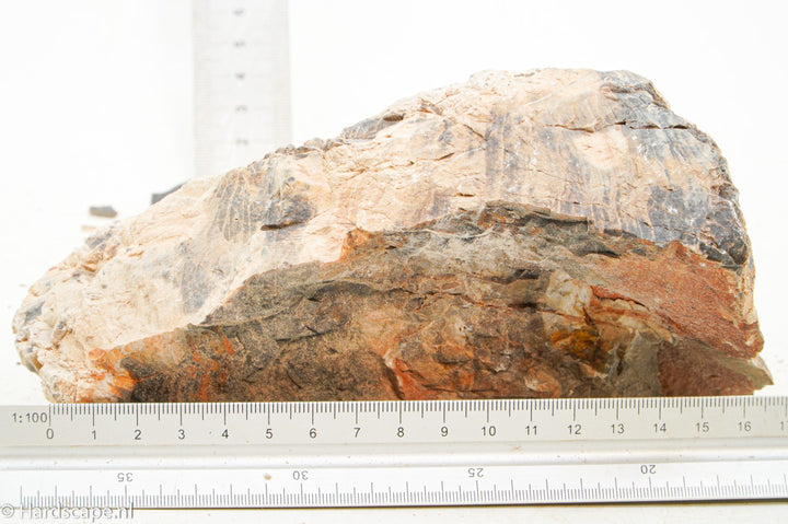 Petrified Wood XL77 - Hardscape.nl
