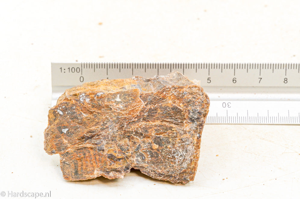 Petrified Wood XS101 - Hardscape.nl