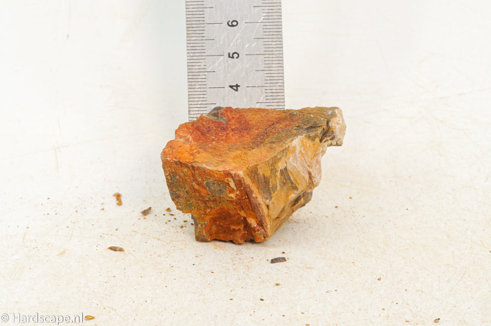 Petrified Wood XS105 - Hardscape.nl