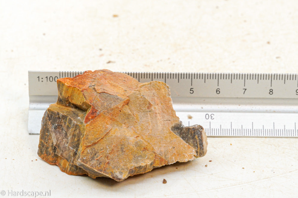 Petrified Wood XS105 - Hardscape.nl
