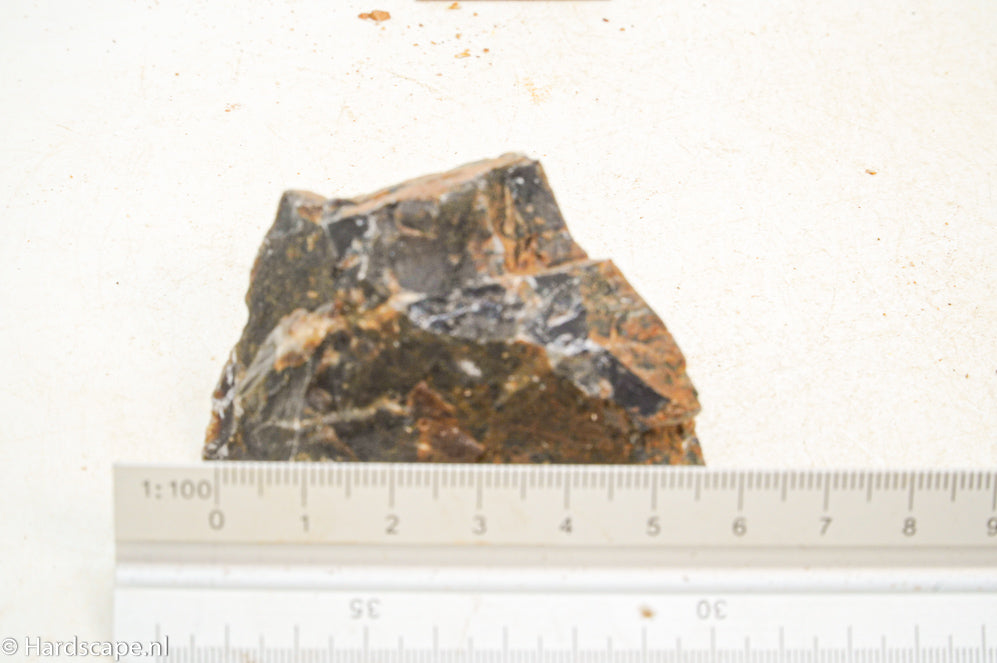 Petrified Wood XS90 - Hardscape.nl