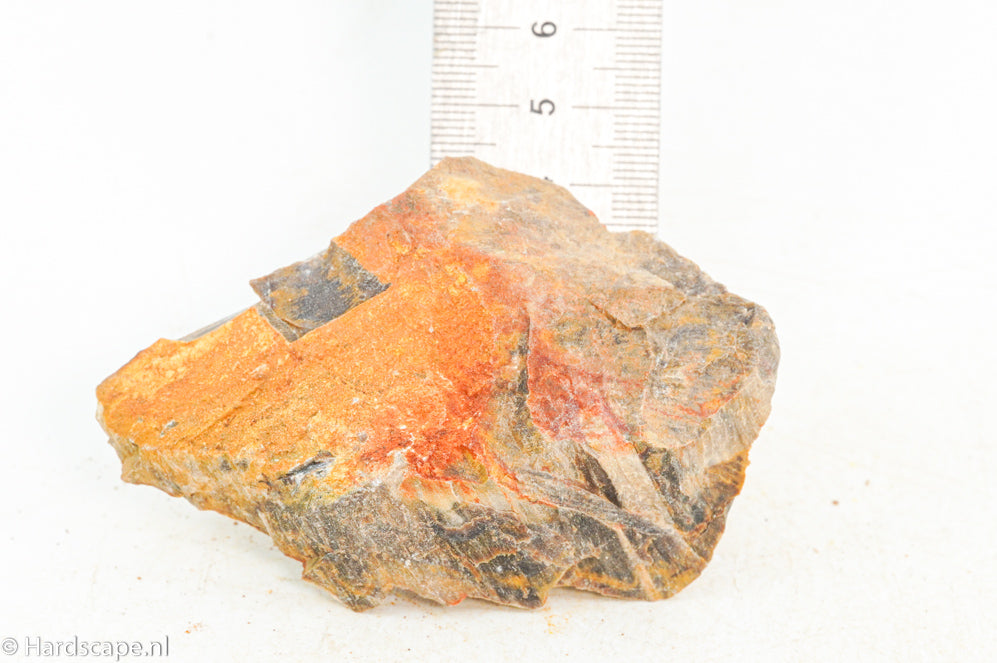 Petrified Wood XS92 - Hardscape.nl