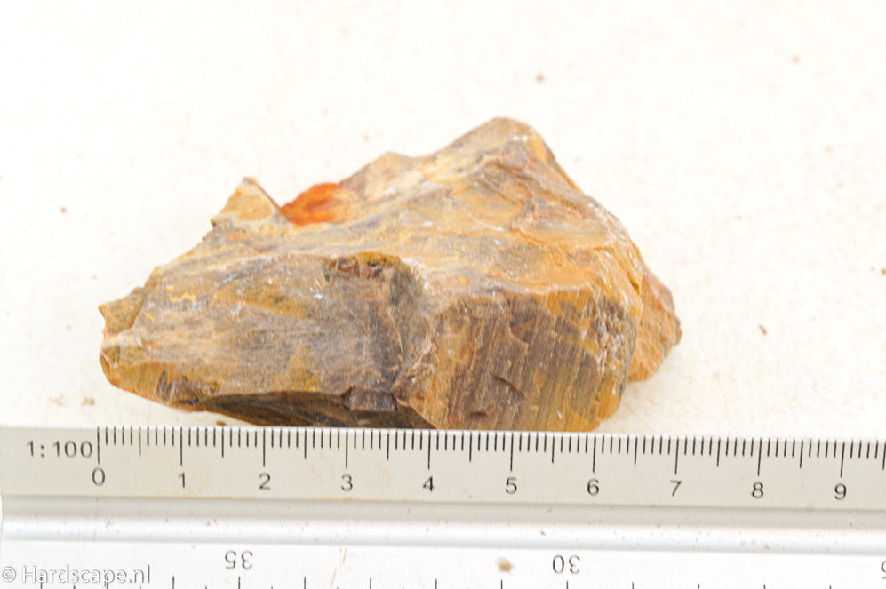 Petrified Wood XS92 - Hardscape.nl