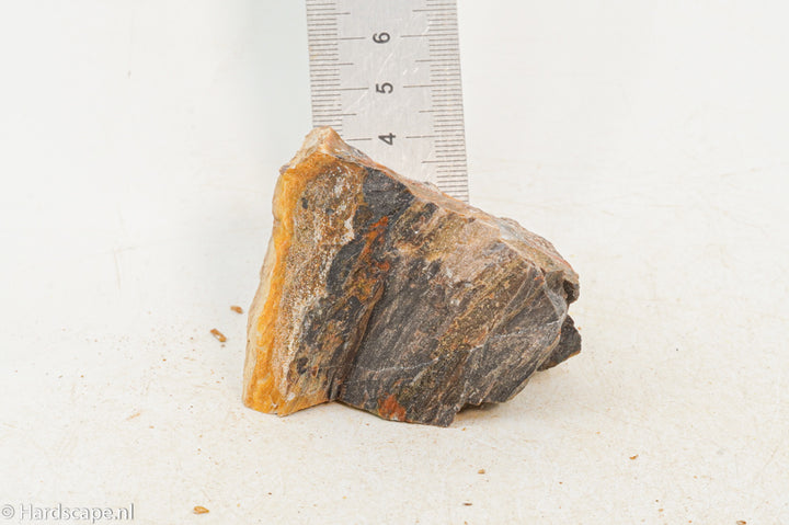 Petrified Wood XS96 - Hardscape.nl