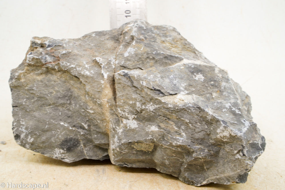 Seiryu Rock L114 - Hardscape.nl