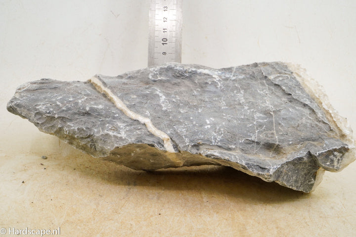 Seiryu Rock L117 - Hardscape.nl