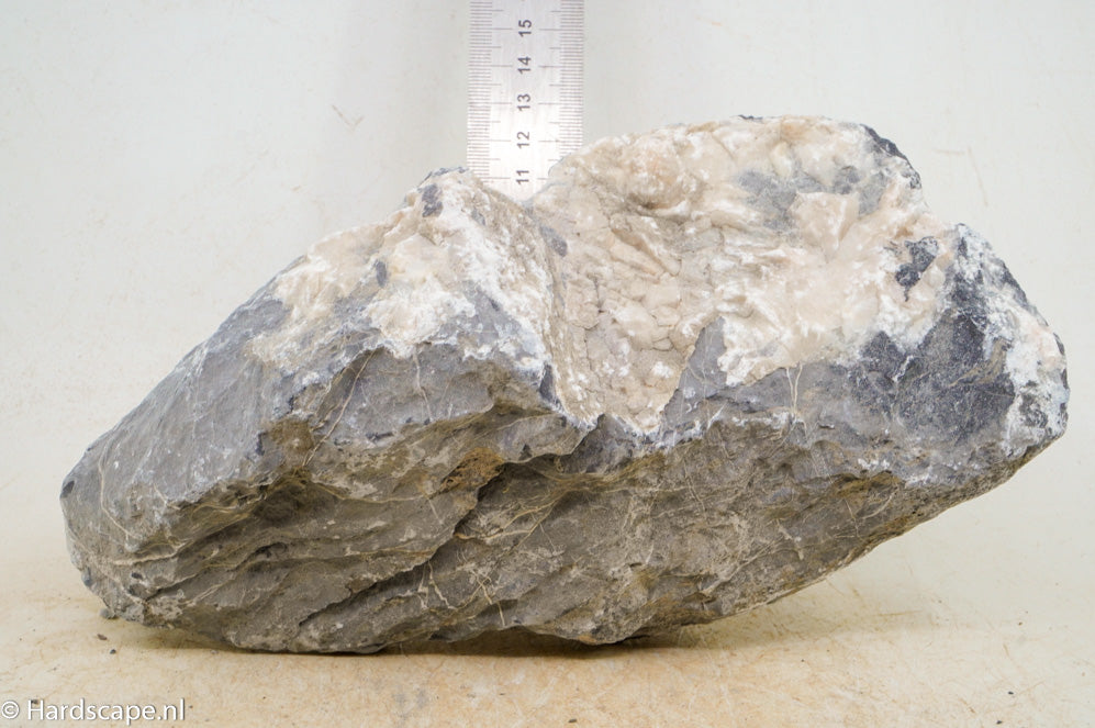 Seiryu Rock L118 - Hardscape.nl