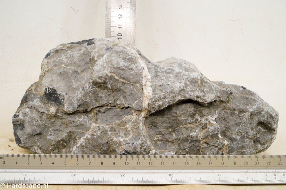 Seiryu Rock L118 - Hardscape.nl
