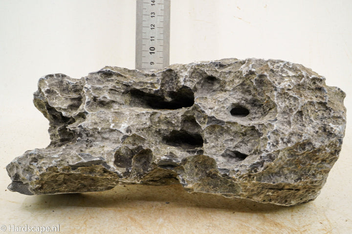 Seiryu Rock XL107 - Hardscape.nl