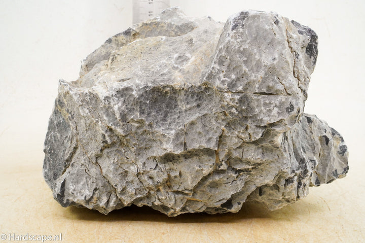 Seiryu Rock XL122 - Hardscape.nl