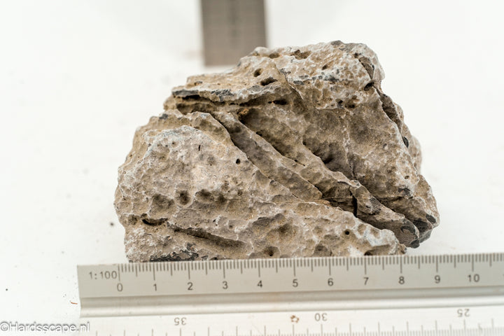 Kleine Seiryu-rots S257 van Hardscape.nl, gedetailleerde blauwe Japanse sierrots voor tuin- en terrasdecoratie