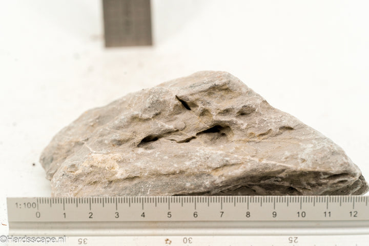Kleine Seiryu Rock S258 van Hardscape.nl met opvallende blauwgrijze aders voor tuin- of aquascaping.