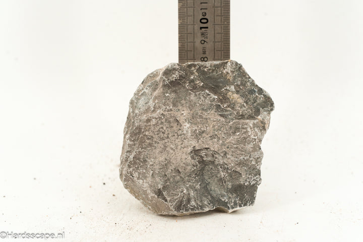 Kleine Seiryu Rock S261 van Hardscape.nl, natuurlijke blauwe en grijze stenen voor tuin- en landschapssamenstellingen