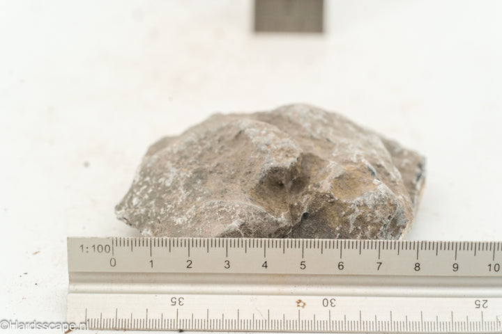 Kleine Seiryu-rots van Hardscape.nl, natuurlijke blauwgrijze steen voor tuin- of aquariumdecoratie, zichtbaar in de afbeelding.