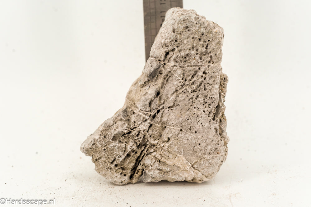 Kleine Seiryu-rots S263 van Hardscape.nl, natuurlijke blauwe Japanse sierrots met rijke textuur voor tuin- en landschapdesign.