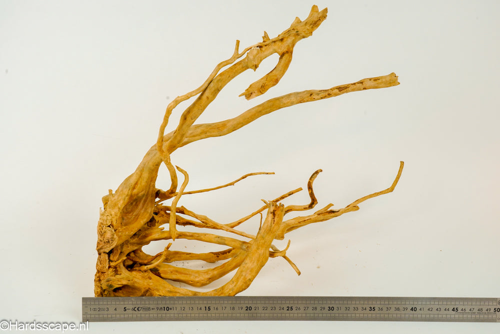 Spiderwood L128 - Hardscape.nl