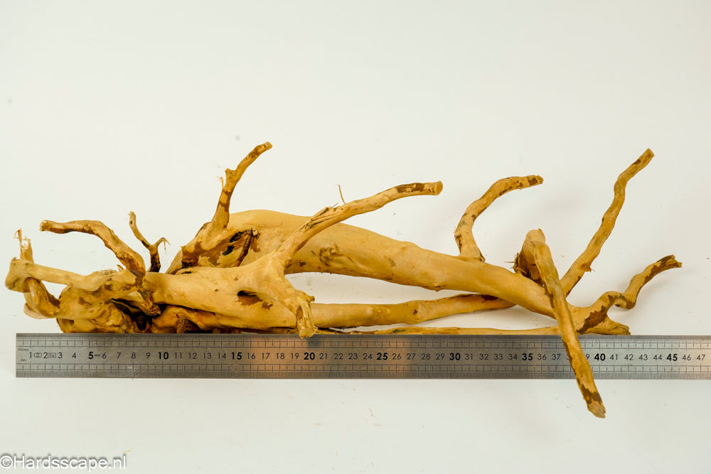 Spiderwood L129 - Hardscape.nl