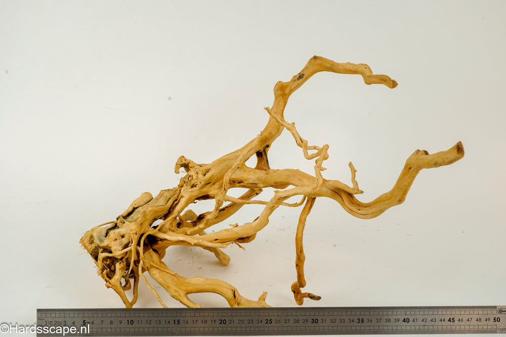 Spiderwood L132 - Hardscape.nl