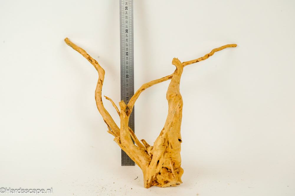 Spiderwood L133 - Hardscape.nl