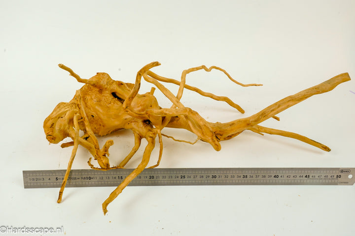 Spiderwood L136 - Hardscape.nl