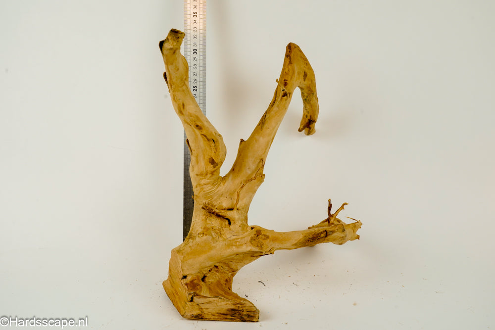 Spiderwood L137 - Hardscape.nl
