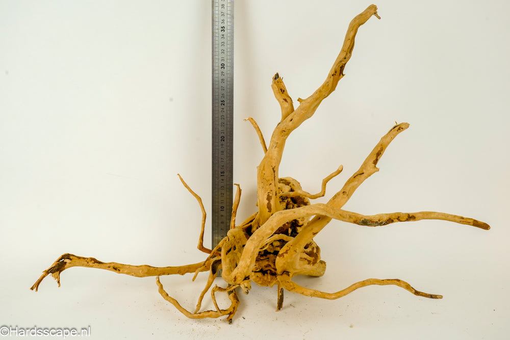 Spiderwood L138 - Hardscape.nl