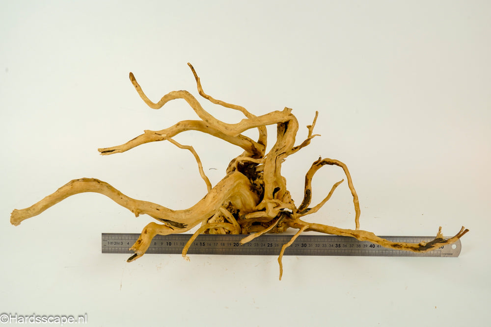 Spiderwood L138 - Hardscape.nl
