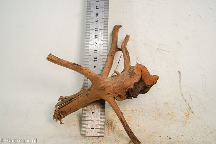 Spiderwood S218 - Hardscape.nl