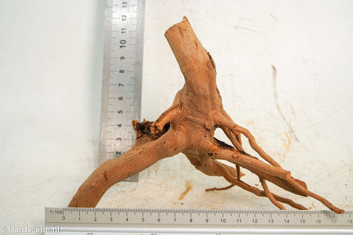 Spiderwood S227 - Hardscape.nl