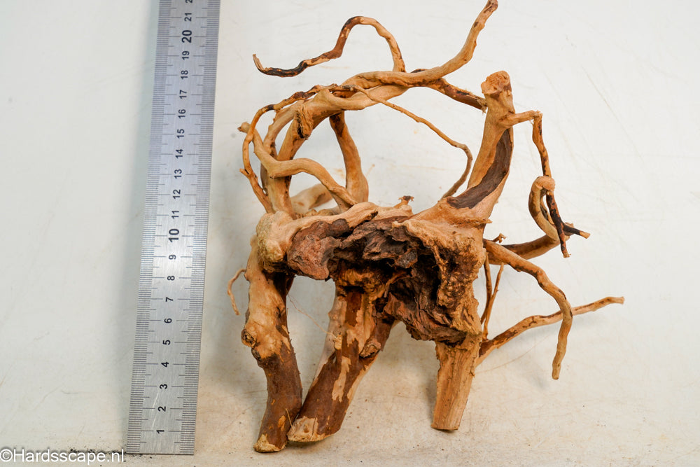 Spiderwood S236 - Hardscape.nl