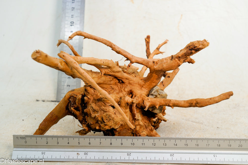 Spiderwood S237 - Hardscape.nl