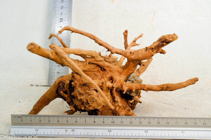 Spiderwood S237 - Hardscape.nl