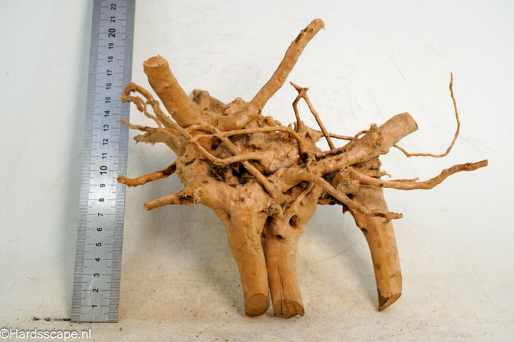 Spiderwood S239 - Hardscape.nl