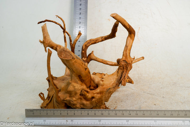 Spiderwood S243 - Hardscape.nl