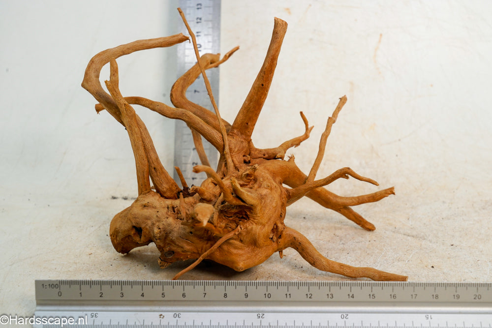 Spiderwood S244 - Hardscape.nl