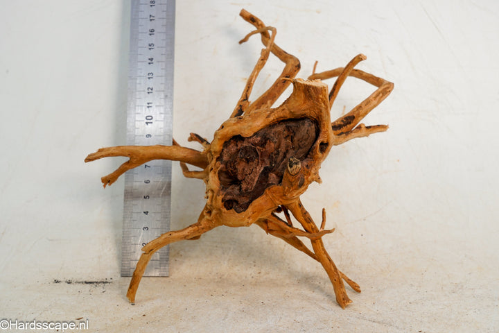 Spiderwood S244 - Hardscape.nl