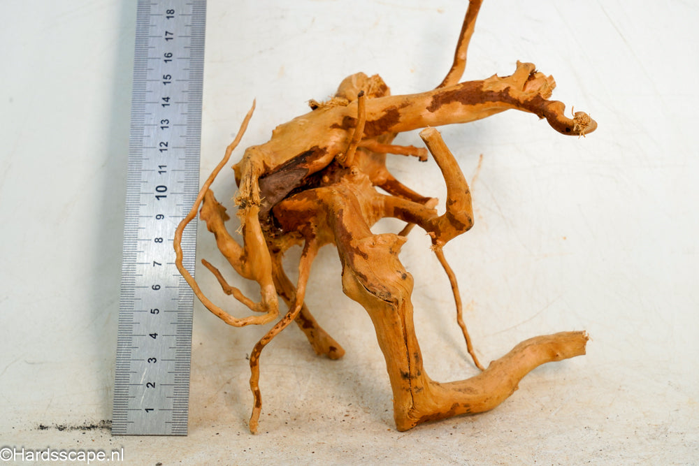 Spiderwood S251 - Hardscape.nl