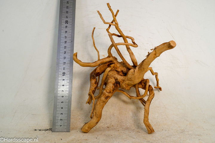 Spiderwood S252 - Hardscape.nl
