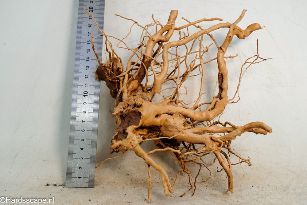Spiderwood S253 - Hardscape.nl