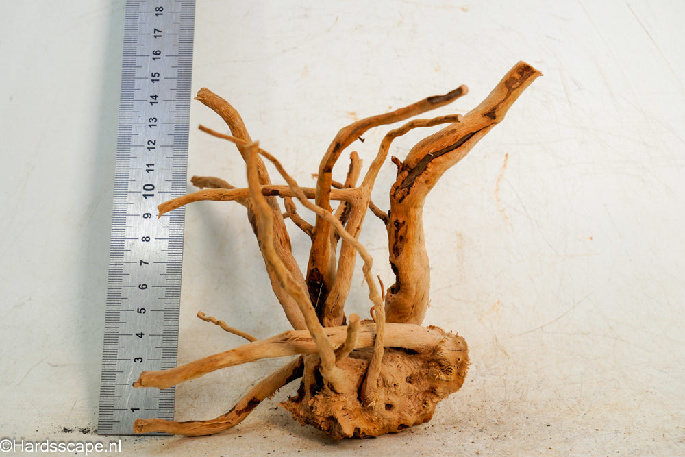 Spiderwood S257 - Hardscape.nl