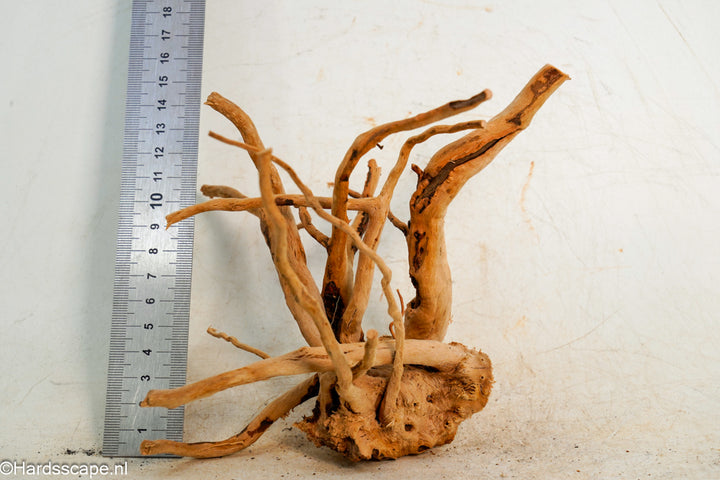 Spiderwood S257 - Hardscape.nl