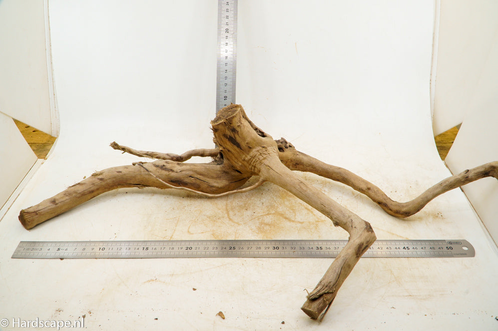 Spiderwood XL100 - Hardscape.nl