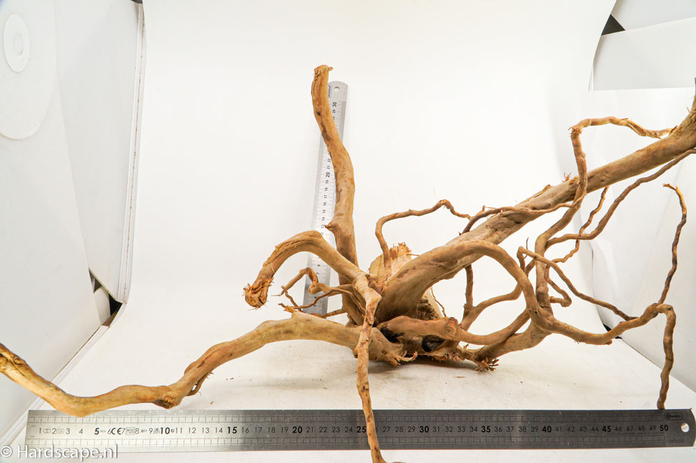 Spiderwood XL109 - Hardscape.nl