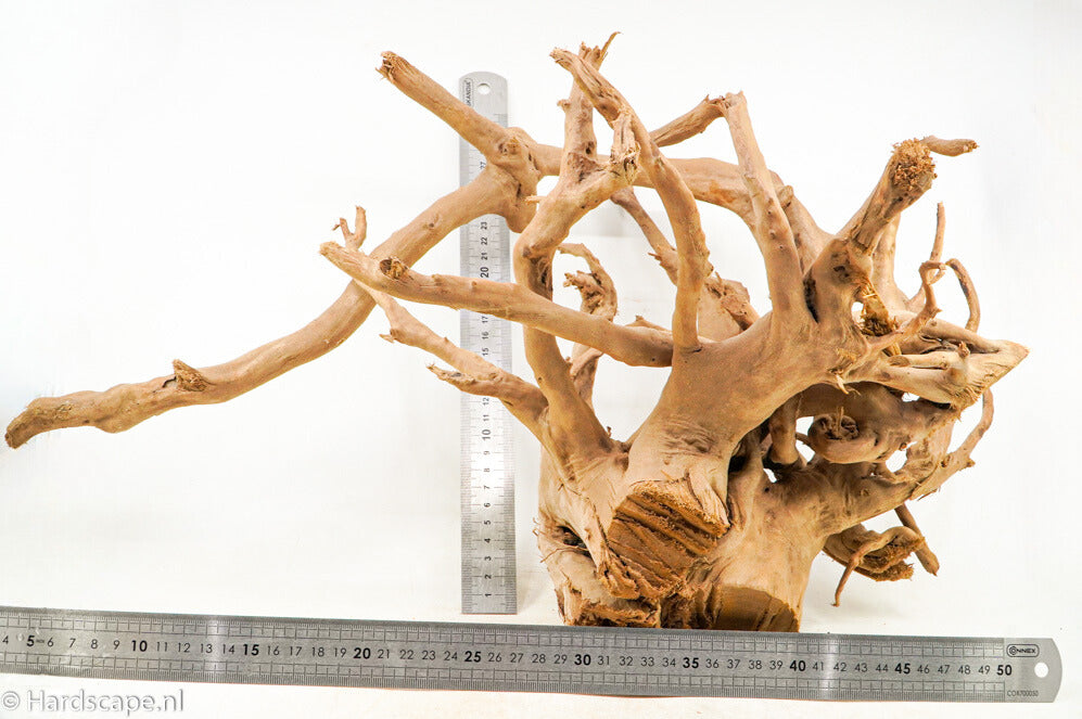 Spiderwood XL116 - Hardscape.nl