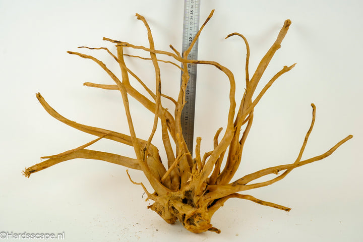 Spiderwood XL125 - Hardscape.nl