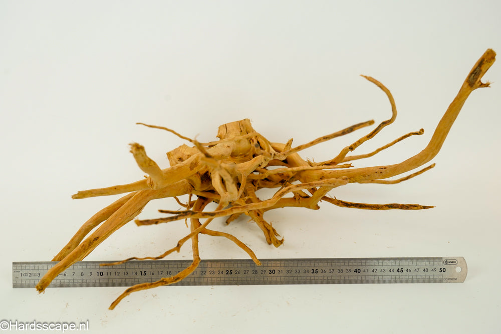 Spiderwood XL125 - Hardscape.nl