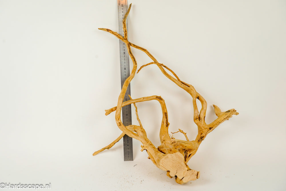 Spiderwood XL126 - Hardscape.nl