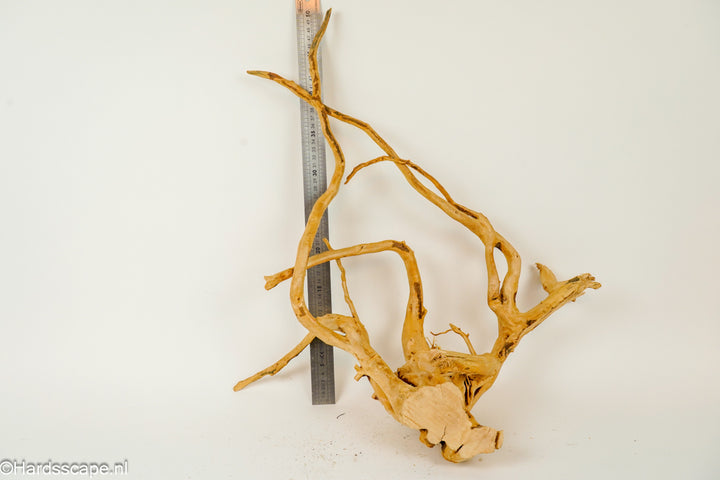 Spiderwood XL126 - Hardscape.nl