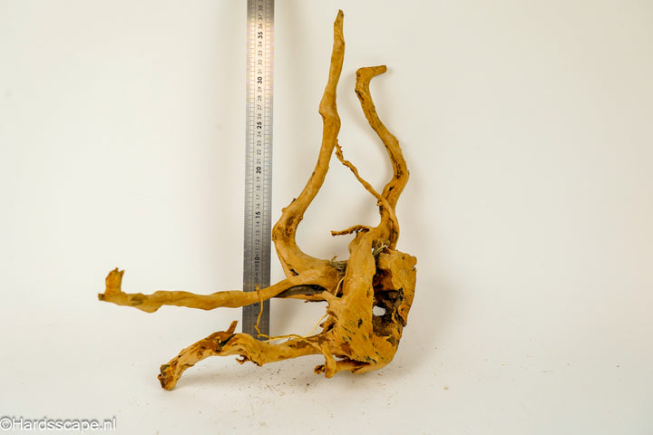 Spiderwood XL127 - Hardscape.nl